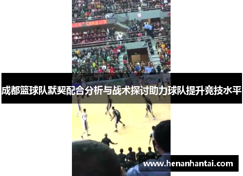 成都篮球队默契配合分析与战术探讨助力球队提升竞技水平