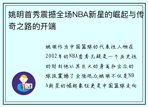 姚明首秀震撼全场NBA新星的崛起与传奇之路的开端