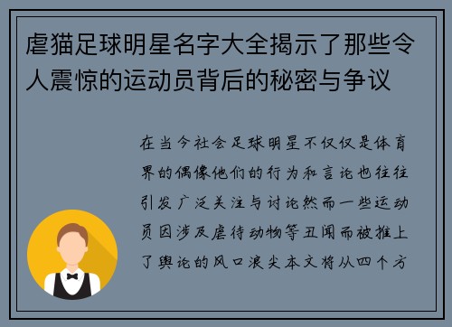 虐猫足球明星名字大全揭示了那些令人震惊的运动员背后的秘密与争议